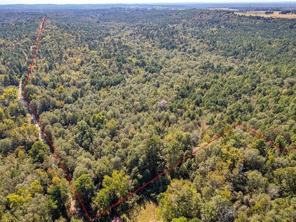 000 CR-359, Winona, TX 75792