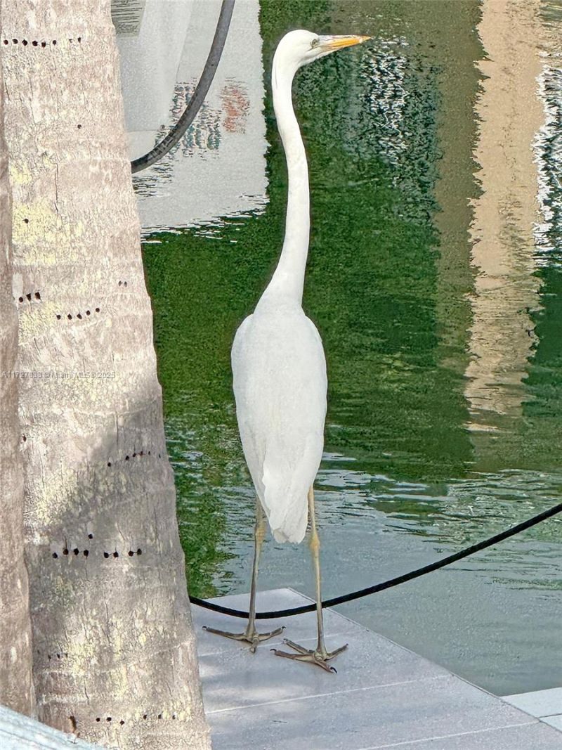 28 Center Ln, Key Largo, FL 33037 Photo