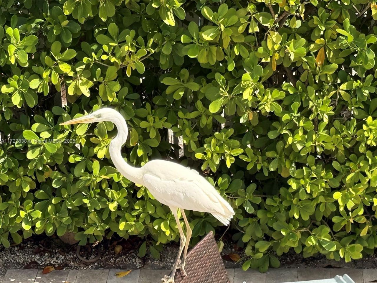 28 Center Ln, Key Largo, FL 33037 Photo