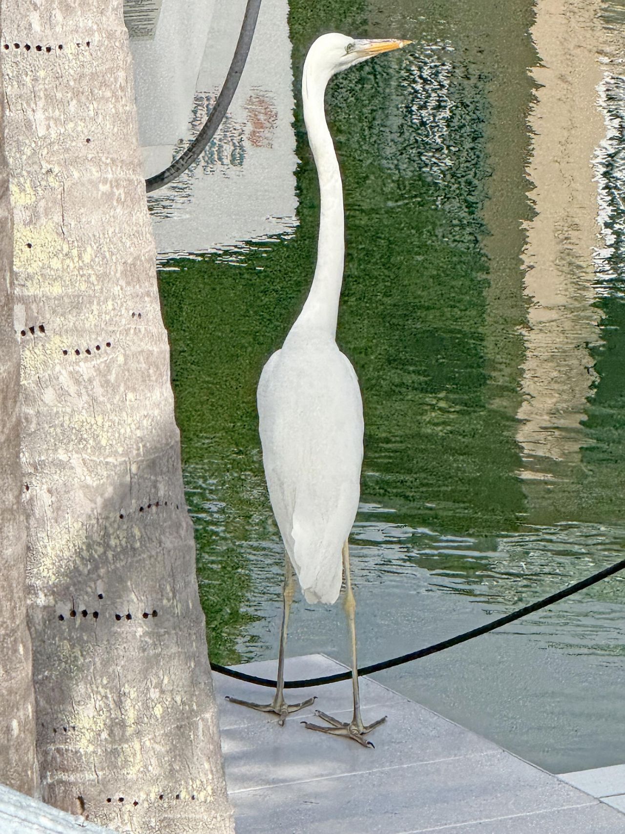 28 Center Lane, Key Largo, FL 33037 Photo