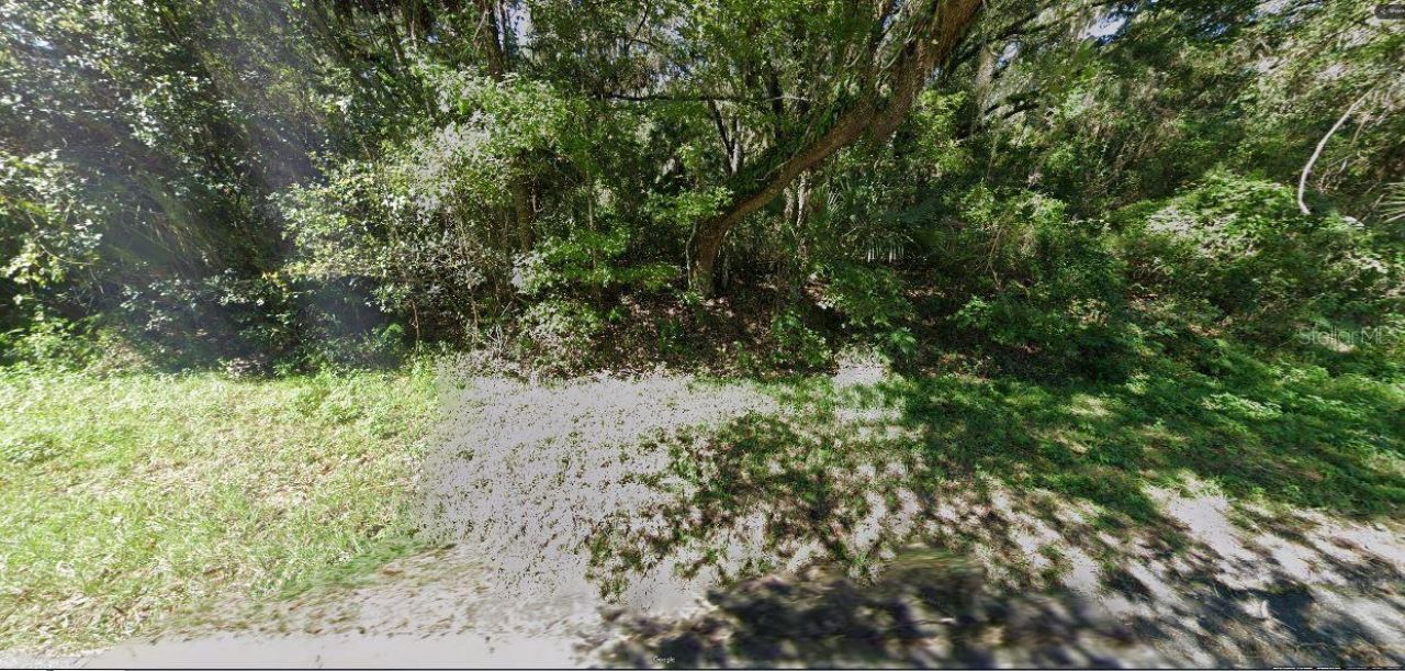 Se Wacahoota Rd, Micanopy, FL 32667 Photo