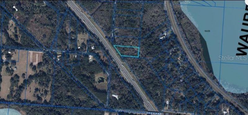 Se Wacahoota Rd, Micanopy, FL 32667 Photo