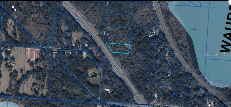 Se Wacahoota Rd, Micanopy, FL 32667 Photo