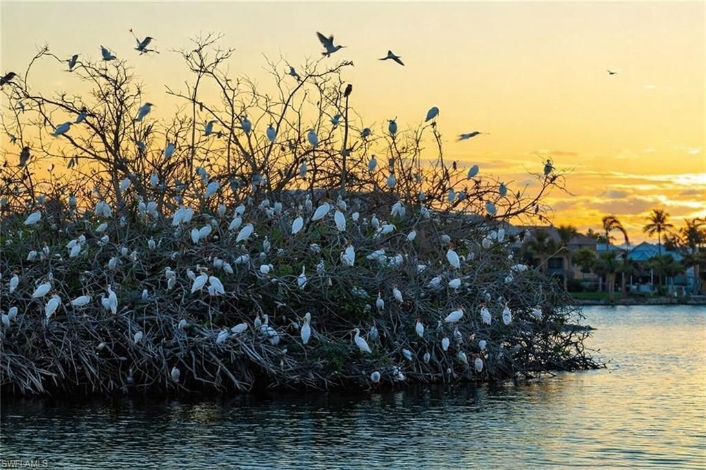 3131 Twin Lakes Ln, Sanibel, FL 33957 Photo