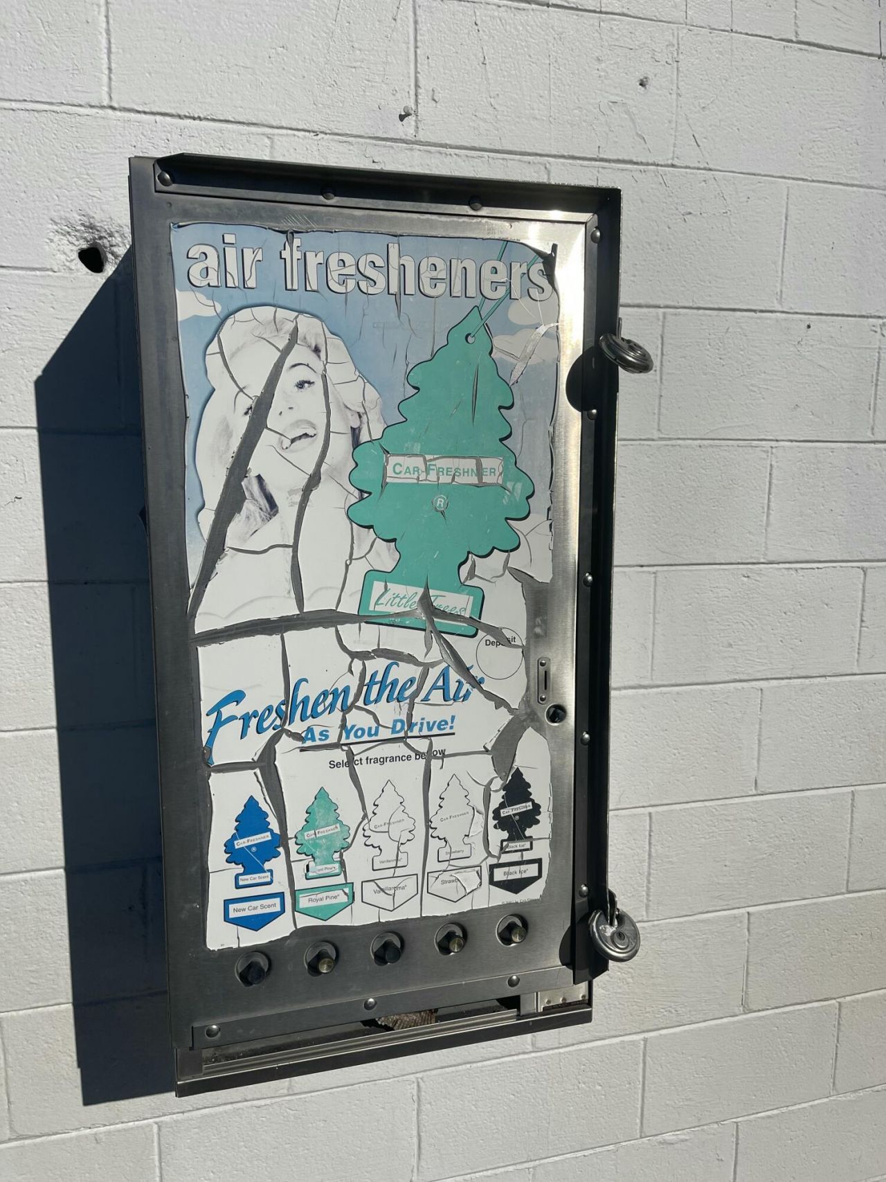 916 Hart Street Photo 10