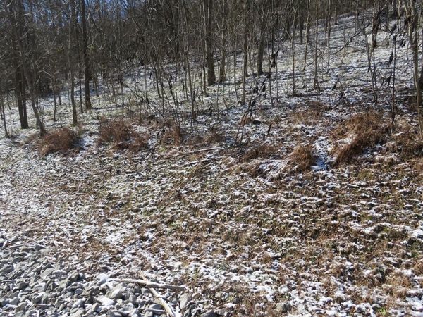 0 Bella Grace Drive, Smithville, TN 37166