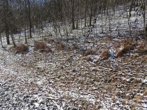 0 Bella Grace Drive, Smithville, TN 37166