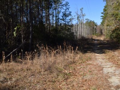 0 Black Tom Road, Moncks Corner, SC 29461