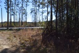 0 Black Tom Road photo 4