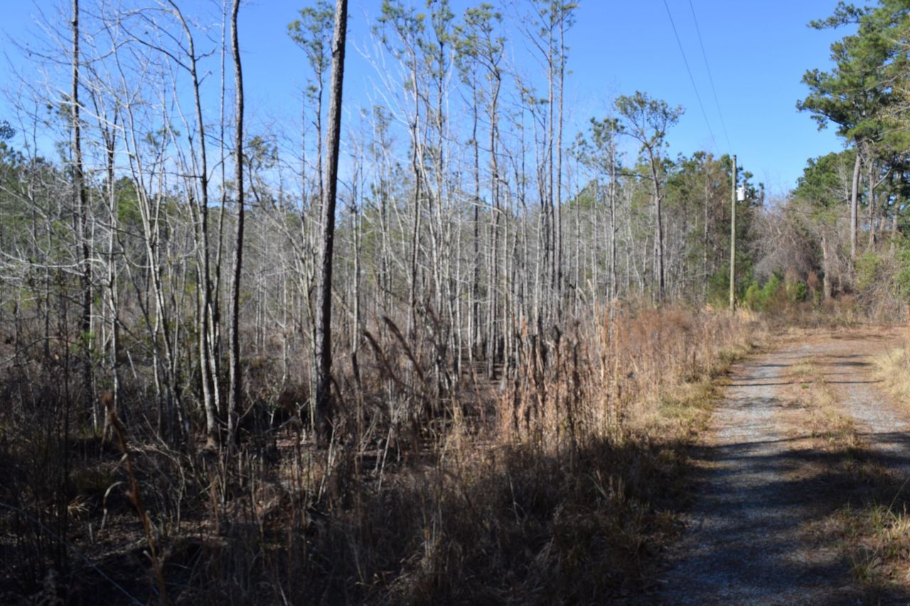 0 Black Tom Road Photo 4