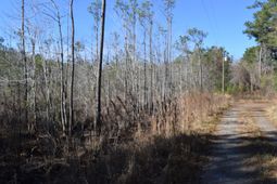 0 Black Tom Road photo 4