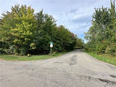 9528 Chippewa Street, Angola, NY 14006