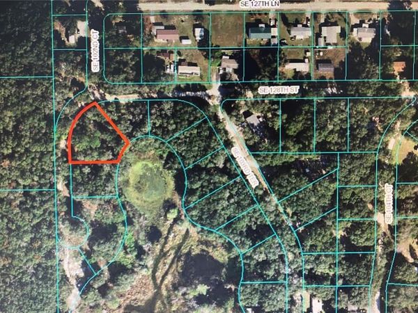 12851 SE 102ND COURT, BELLEVIEW, FL 34420