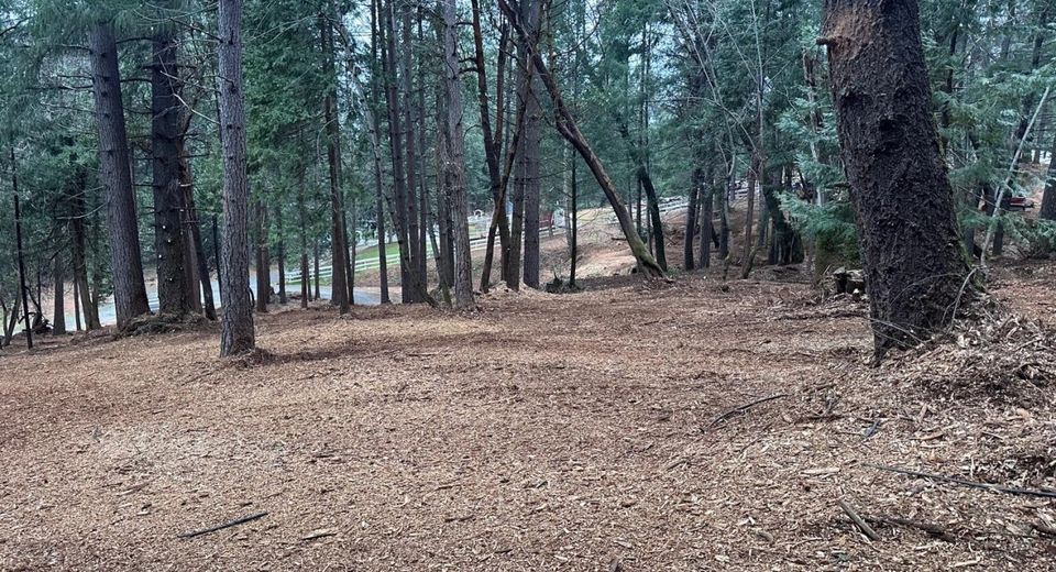 Oregon Trail Rd, Georgetown, CA 95634 Photo