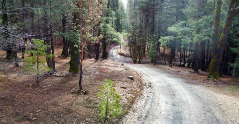 Oregon Trail Rd, Georgetown, CA 95634 Photo