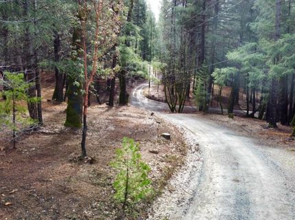 Oregon Trail Rd, Georgetown, CA 95634 Photo