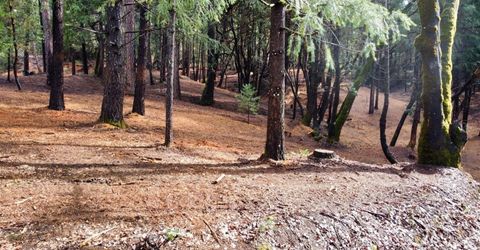 Oregon Trail Rd, Georgetown, CA 95634 Photo