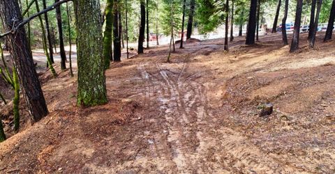 Oregon Trail Rd, Georgetown, CA 95634 Photo