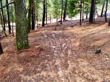 Oregon Trail Rd, Georgetown, CA 95634 Photo