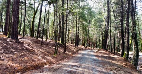 Oregon Trail Rd, Georgetown, CA 95634 Photo