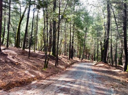 Oregon Trail Rd, Georgetown, CA 95634 Photo