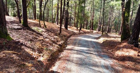 Oregon Trail Rd, Georgetown, CA 95634 Photo