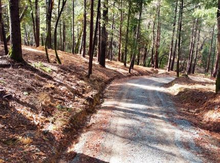 Oregon Trail Rd, Georgetown, CA 95634 Photo