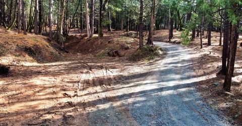 Oregon Trail Rd, Georgetown, CA 95634 Photo