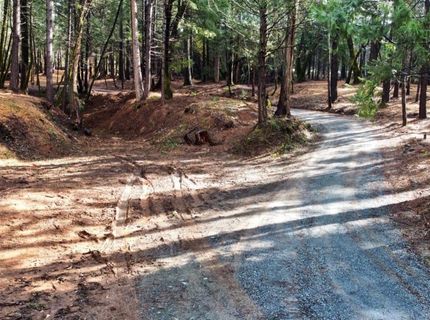 Oregon Trail Rd, Georgetown, CA 95634 Photo