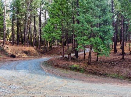 Oregon Trail Rd, Georgetown, CA 95634 Photo