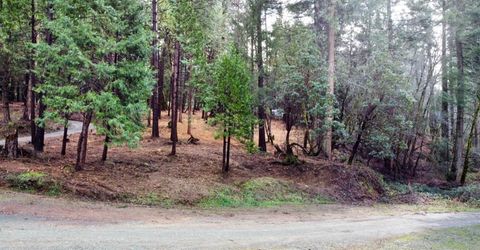 Oregon Trail Rd, Georgetown, CA 95634 Photo