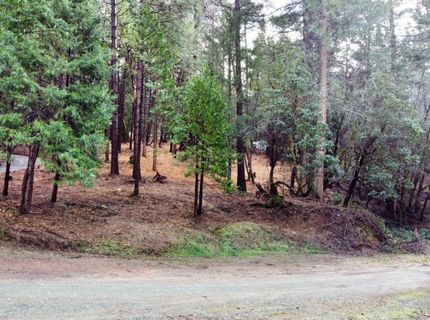 Oregon Trail Rd, Georgetown, CA 95634 Photo