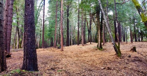 Oregon Trail Rd, Georgetown, CA 95634 Photo