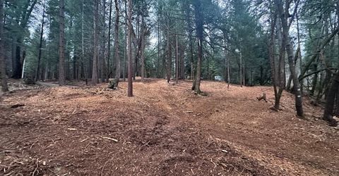 Oregon Trail Rd, Georgetown, CA 95634 Photo