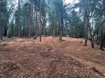 Oregon Trail Rd, Georgetown, CA 95634 Photo