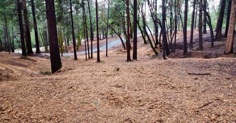 Oregon Trail Rd, Georgetown, CA 95634 Photo