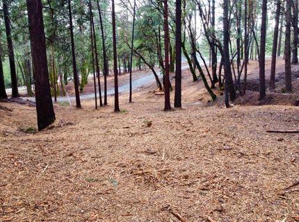 Oregon Trail Rd, Georgetown, CA 95634 Photo