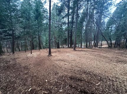 Oregon Trail Rd, Georgetown, CA 95634 Photo