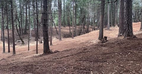 Oregon Trail Rd, Georgetown, CA 95634 Photo