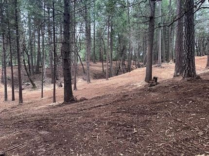 Oregon Trail Rd, Georgetown, CA 95634 Photo