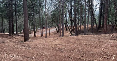 Oregon Trail Rd, Georgetown, CA 95634 Photo