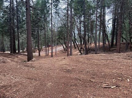 Oregon Trail Rd, Georgetown, CA 95634 Photo