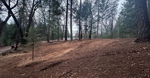 Oregon Trail Rd, Georgetown, CA 95634 Photo