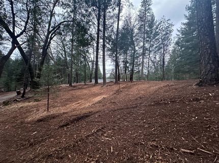 Oregon Trail Rd, Georgetown, CA 95634 Photo