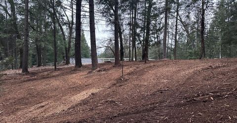 Oregon Trail Rd, Georgetown, CA 95634 Photo