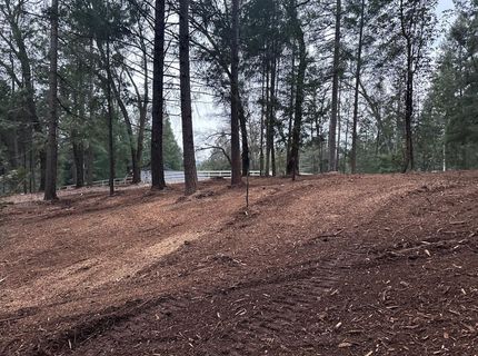 Oregon Trail Rd, Georgetown, CA 95634 Photo