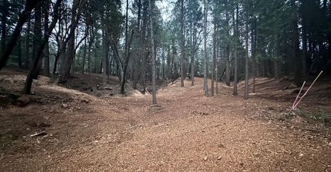 Oregon Trail Rd, Georgetown, CA 95634 Photo