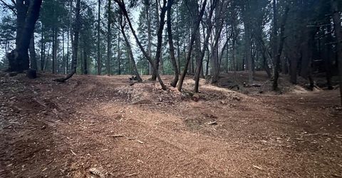 Oregon Trail Rd, Georgetown, CA 95634 Photo