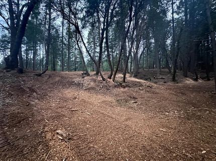 Oregon Trail Rd, Georgetown, CA 95634 Photo