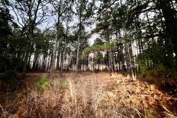 Tbd Wateree Road photo 4